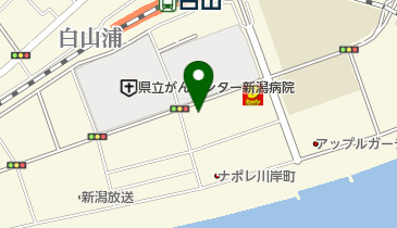 新井内科・消化器科クリニックの地図画像
