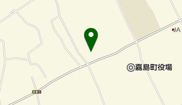 からしま小児科の地図画像