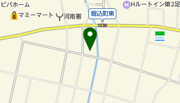 堀江皮フ科クリニックの地図画像