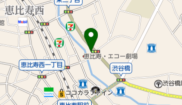 渋谷橋レディースクリニックの地図画像