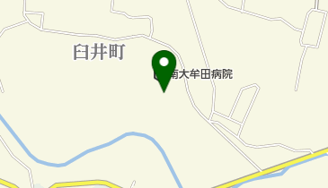 南大牟田クリニックの地図画像