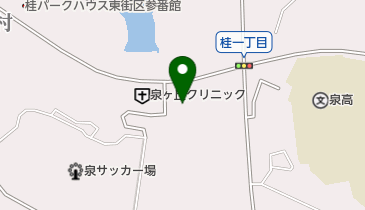 桂島いずみクリニックの地図画像