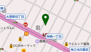 かみす眼科の地図画像