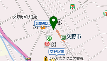 大成整形外科の地図画像