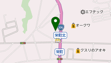 さかえ整形外科の地図画像