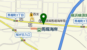 安田内科・皮ふ科の地図画像