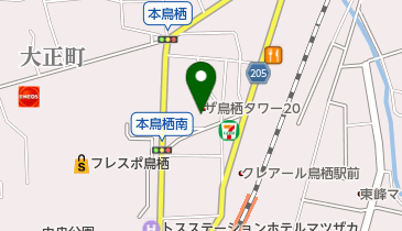 しばやま整形外科の地図画像