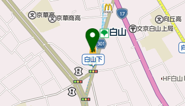 白山レディースクリニックの地図画像