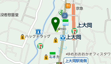 カミオクリニックの地図画像