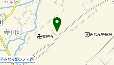 みなみ野グリーンゲイブルズクリニックの地図画像