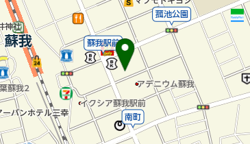 野井レディースクリニックの地図画像