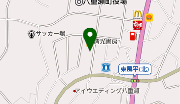 沖縄こどもとおとなの整形外科の地図画像