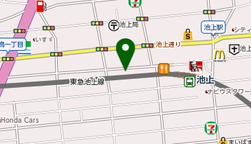 池上コスモス皮膚科の地図画像