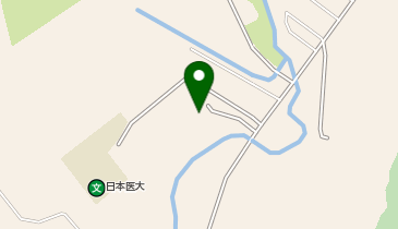 日本医療大学 真栄クリニックの地図画像