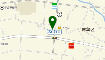 いがらしレディースクリニックの地図画像