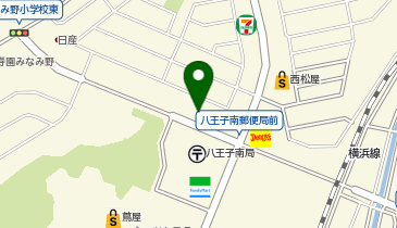 みなみ野レディースクリニックの地図画像