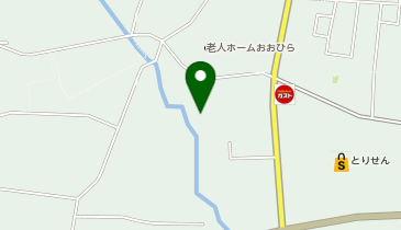 整形外科メディカルパパスの地図画像