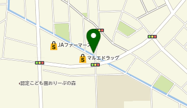 はしづめ胃腸と内科のクリニックの地図画像