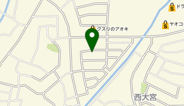 西大宮さたけ整形外科リハビリクリニックの地図画像