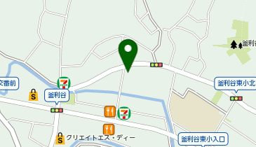 かねこ皮膚科の地図画像