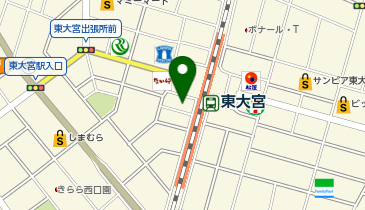 ステーションクリニック東大宮の地図画像