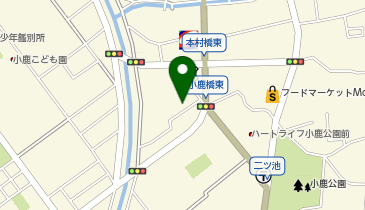 静岡ひかり医院 眼科/内科の地図画像