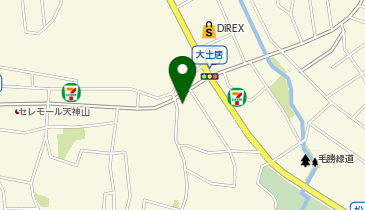 にしじま耳鼻咽喉科 鼻手術クリニックの地図画像
