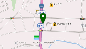 かめやま心身クリニックの地図画像