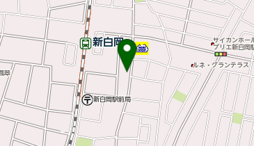 新白岡駅前内科の地図画像