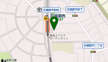 田園調布ステーションクリニックの地図画像