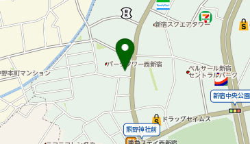 パークタワー西新宿整形外科 骨と股関節のクリニックの地図画像