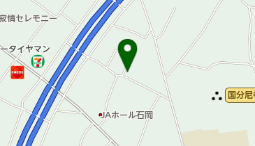 岩田歯科医院の地図画像