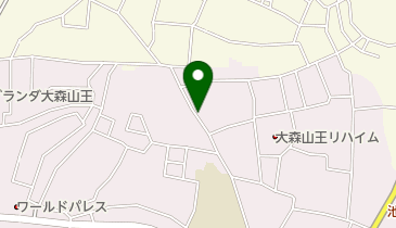 大森山王デンタルオフィスの地図画像