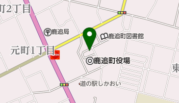 鹿追東町歯科医院の地図画像