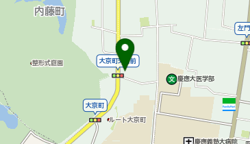 LYON DOLL SHINJUKU GYOEN 401の地図画像