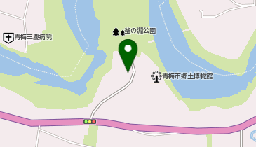 亀の井ホテル 青梅の地図画像