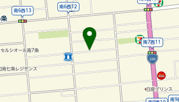 UCHI LIVING STAY S7W12の地図画像