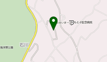 PINE HOUSE IN CHURAUMIの地図画像