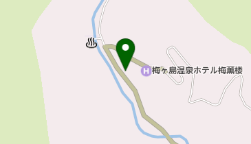 湯心の宿 旅館いちかわの地図画像