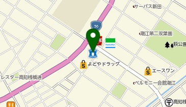 ローソン 高知潮新町二丁目店の地図画像