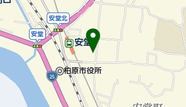 ローソンストア100 LS柏原安堂町店の地図画像