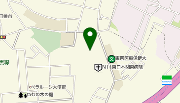 ナチュラルローソン NLNTT関東病院店の地図画像