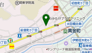 Pineの地図画像