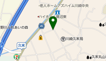 Any Naviの地図画像