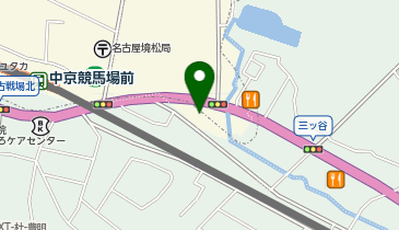 JOYJOY中京競馬店の地図画像