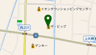 ザ・ビッグ 輪之内店 トイレの地図画像