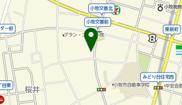 出光リテール販売(株)中部カンパニー セルフ小牧SSの地図画像