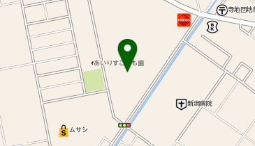 ソフトバンクアピタ新潟西の地図画像