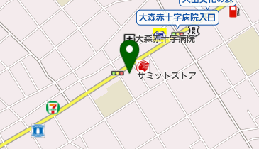 サミットストア 大田中央店の地図画像