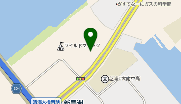 アースカー 江東区豊洲6丁目の地図画像